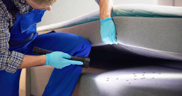 Best Local Pest Control Services  in Durand, MI