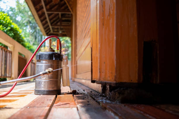 Best Affordable Pest Control Services  in Durand, MI