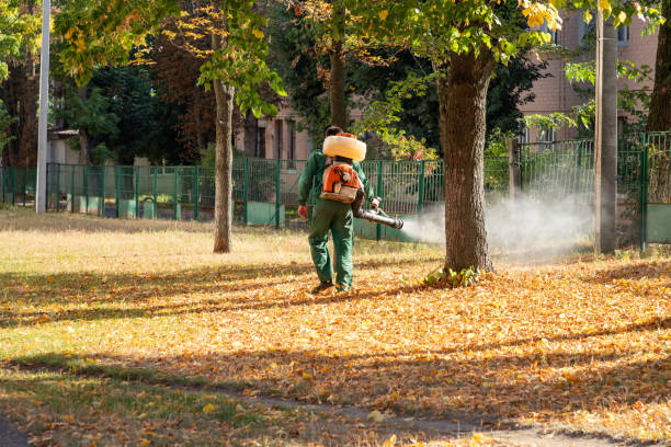 Best Affordable Pest Control Services  in Durand, MI