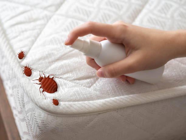 Professional Pest Control in Durand, MI